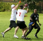OTFL Gallery Image